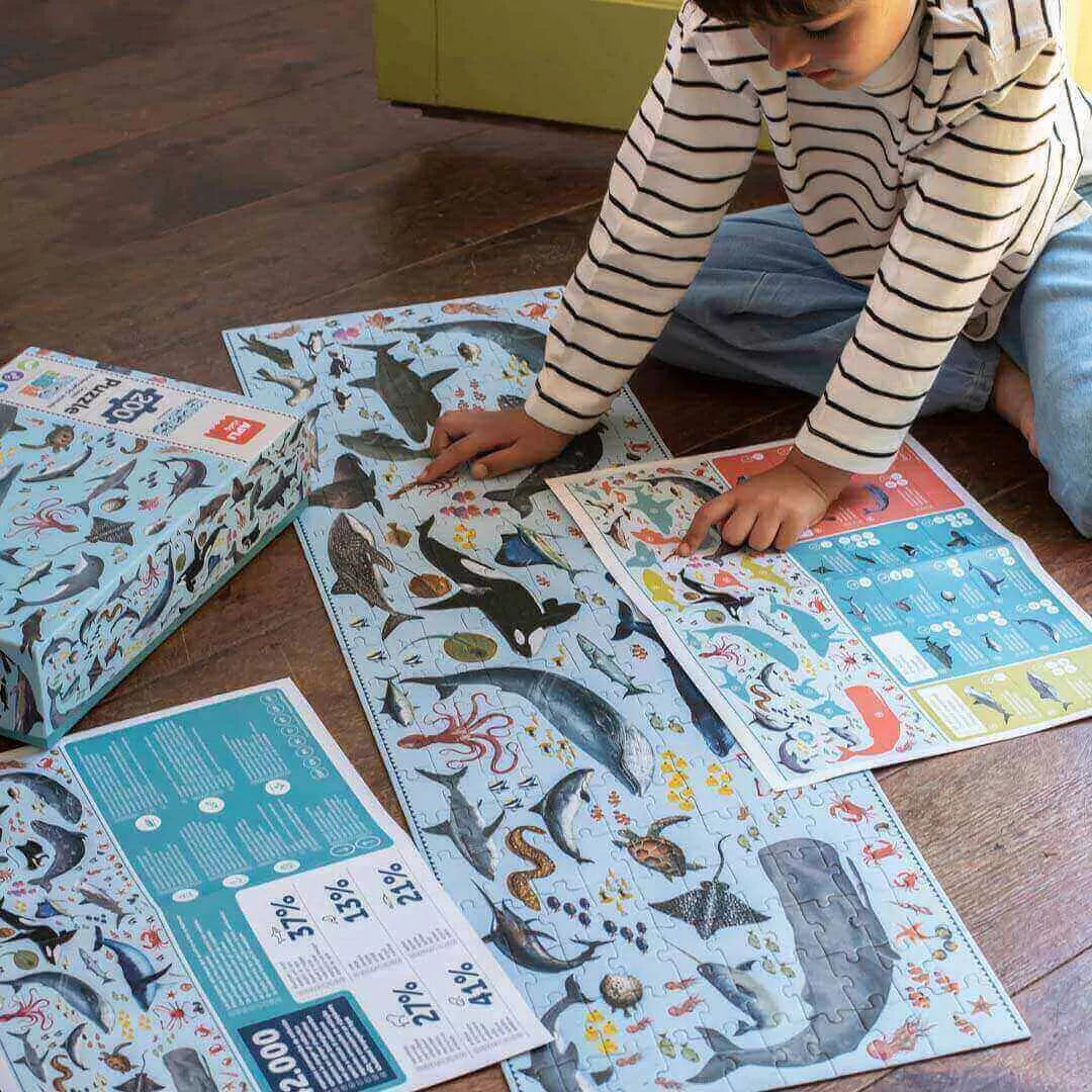 Pastabumo dėlionė – Nykstantys jūrų gyvūnai