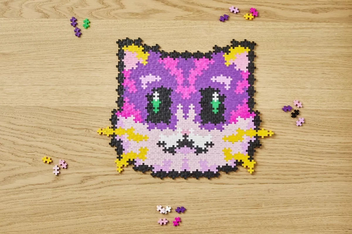 Plus Plus dėlionė pagal skaičius, KAČIUKAS, 500 det.