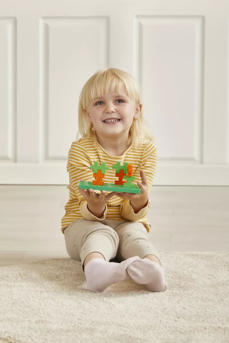 Plus Plus konstruktorius DIDELĖS, Ūkis