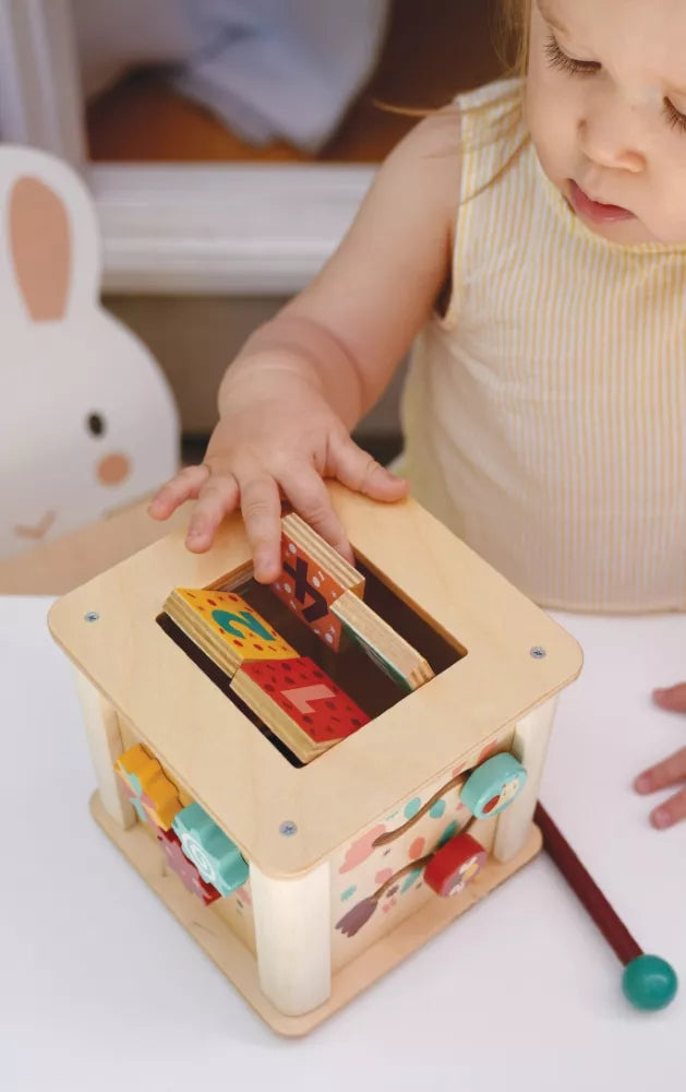 Mentari Mažylio veiklos kubas