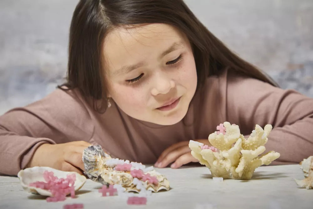 Plus Plus konstruktorius, Perlas, 100 det.