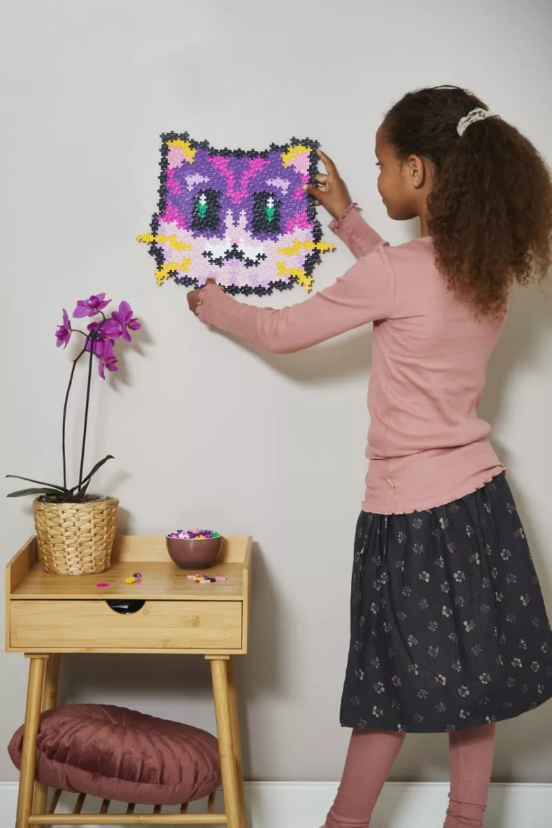 Plus Plus dėlionė pagal skaičius, KAČIUKAS, 500 det.