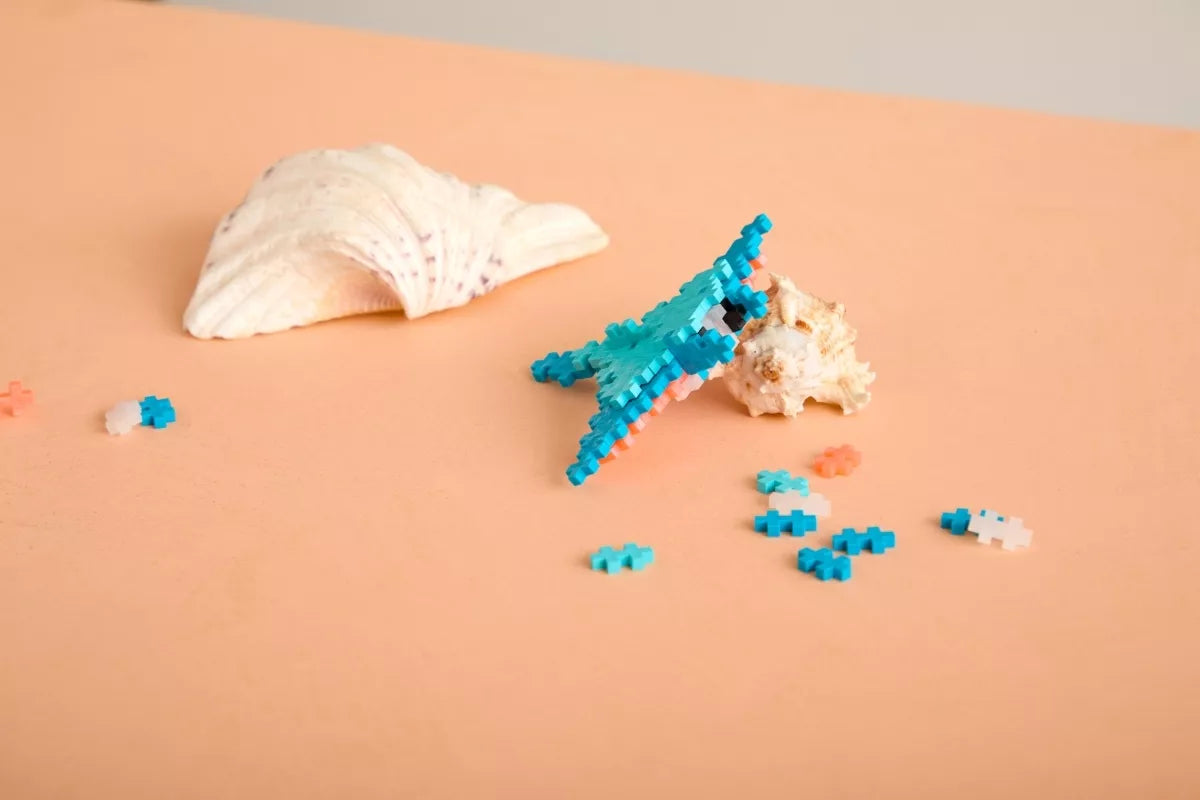 Plus Plus konstruktorius, Raja, 100 det.