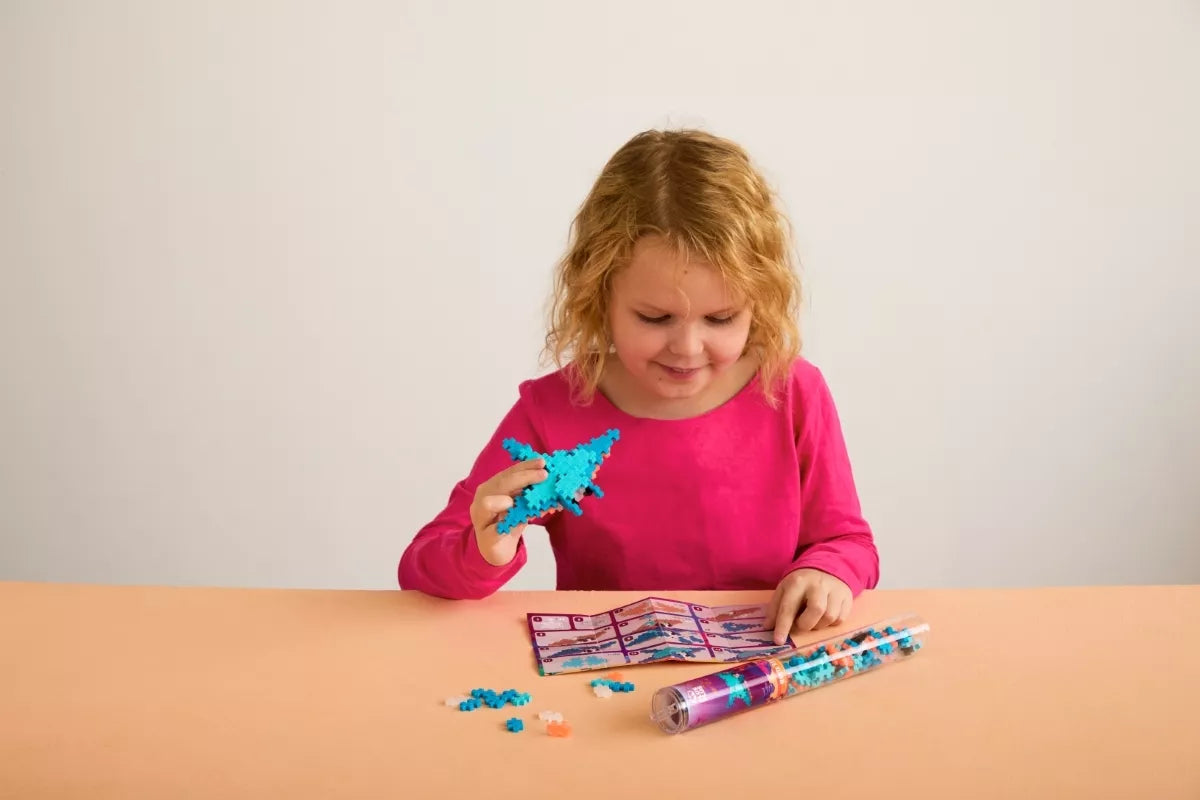 Plus Plus konstruktorius, Raja, 100 det.