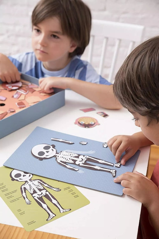 Magnetinis žaidimas-dėlionė „Žmogaus kūnas”