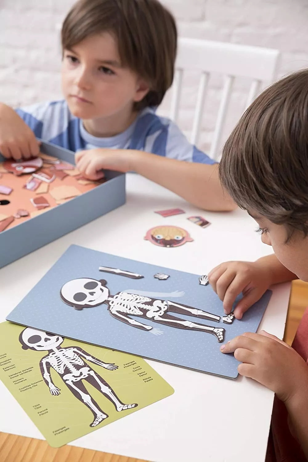 Magnetinis žaidimas „Žmogaus kūnas”