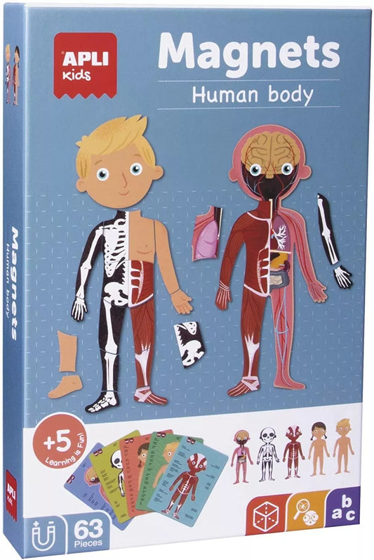 Magnetinis žaidimas „Žmogaus kūnas”