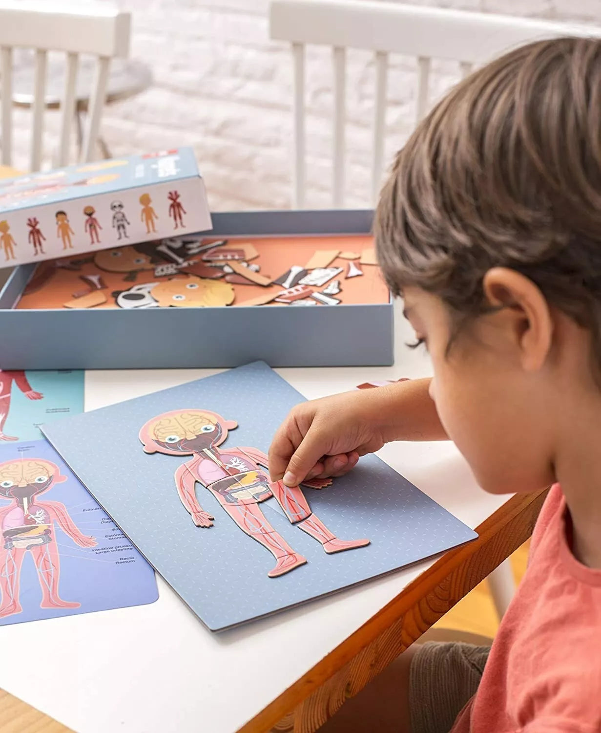 Magnetinis žaidimas „Žmogaus kūnas”