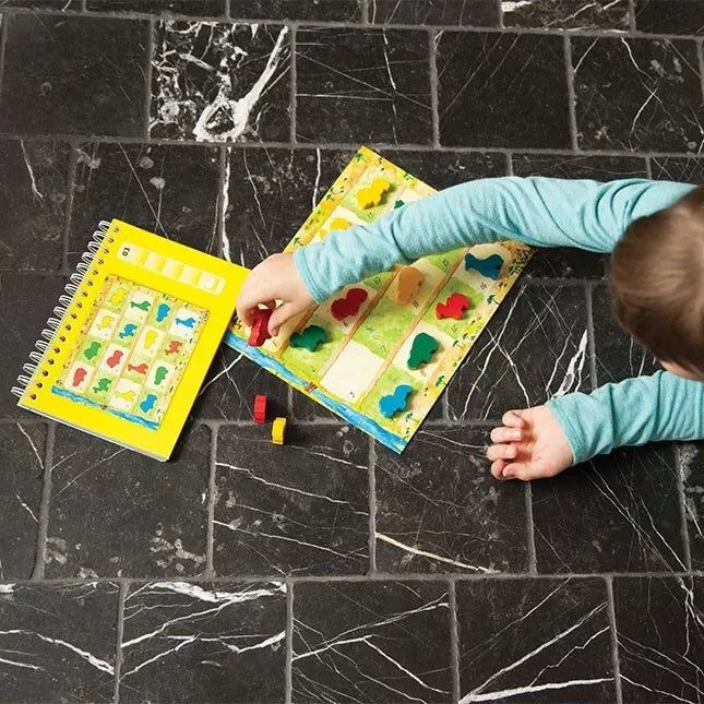 AnimaLogic žaidimas - galvosūkis