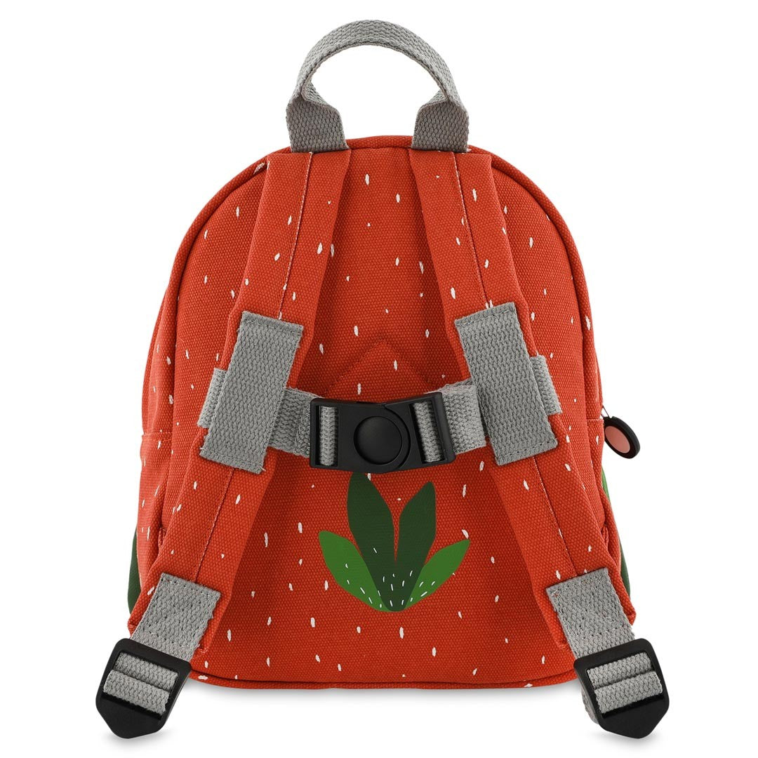 Backpack - Mr. Parrot