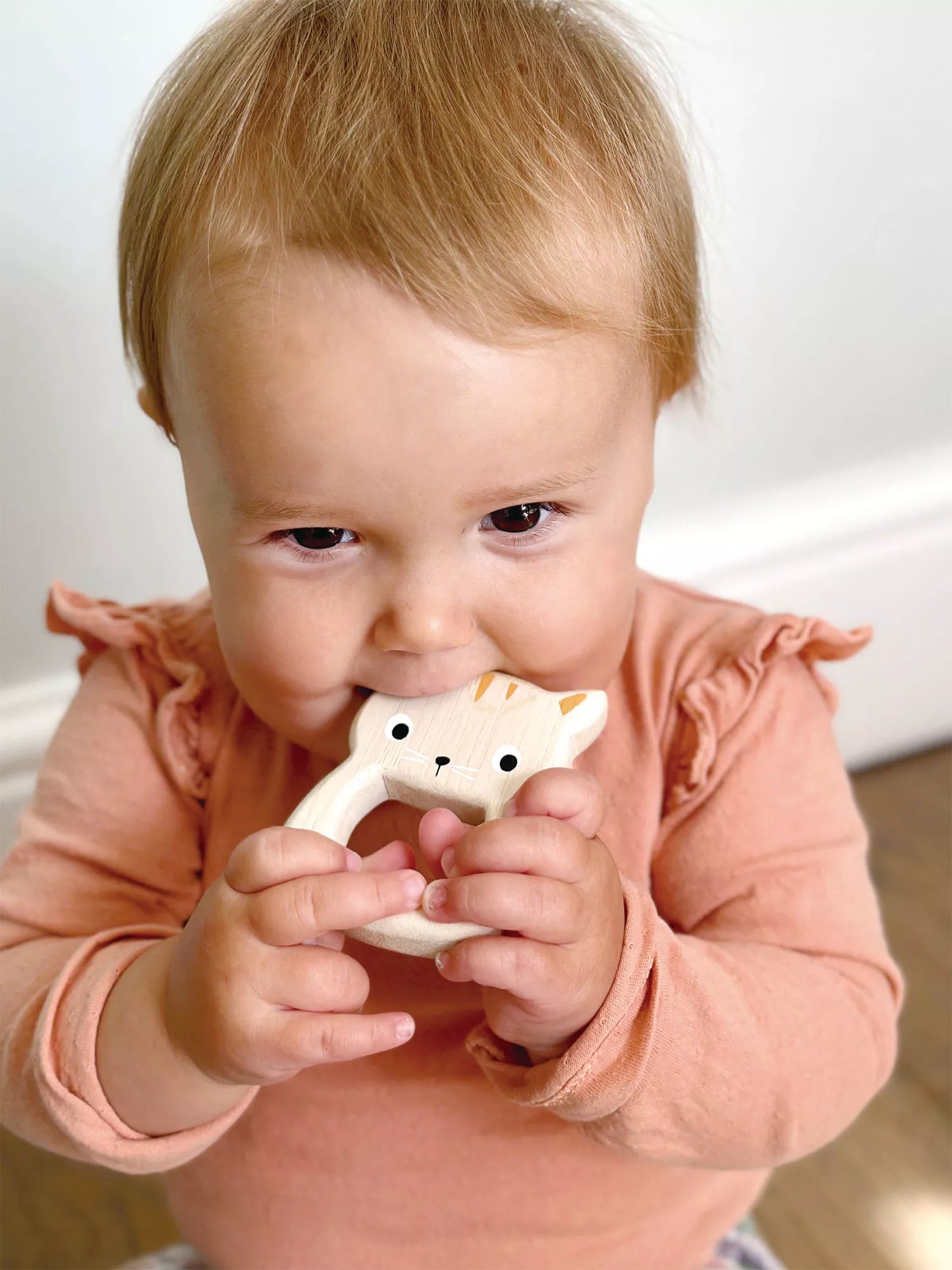 Mentari Dantų kramtukai, Paukštelis ir Katinėlis