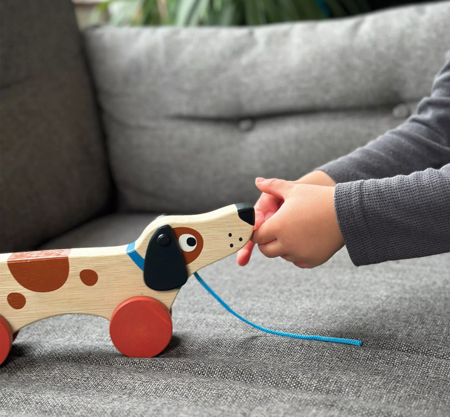 Mentari Šuniukas su 4 ratukais ir virvele