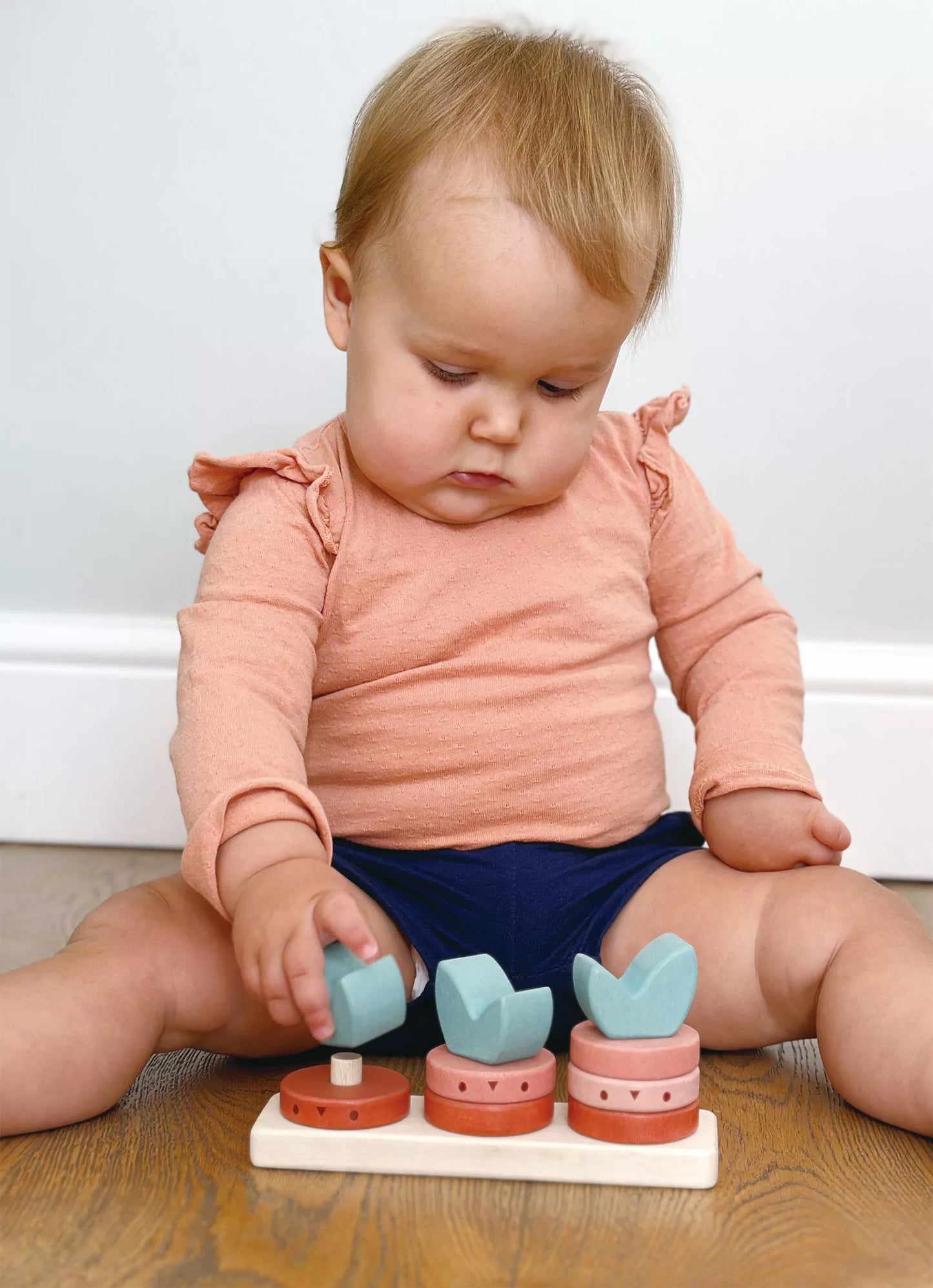 Mentari Rūšiavimo žaislas, Daržovės