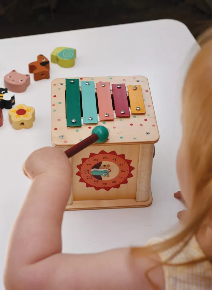 Mentari Mažylio veiklos kubas