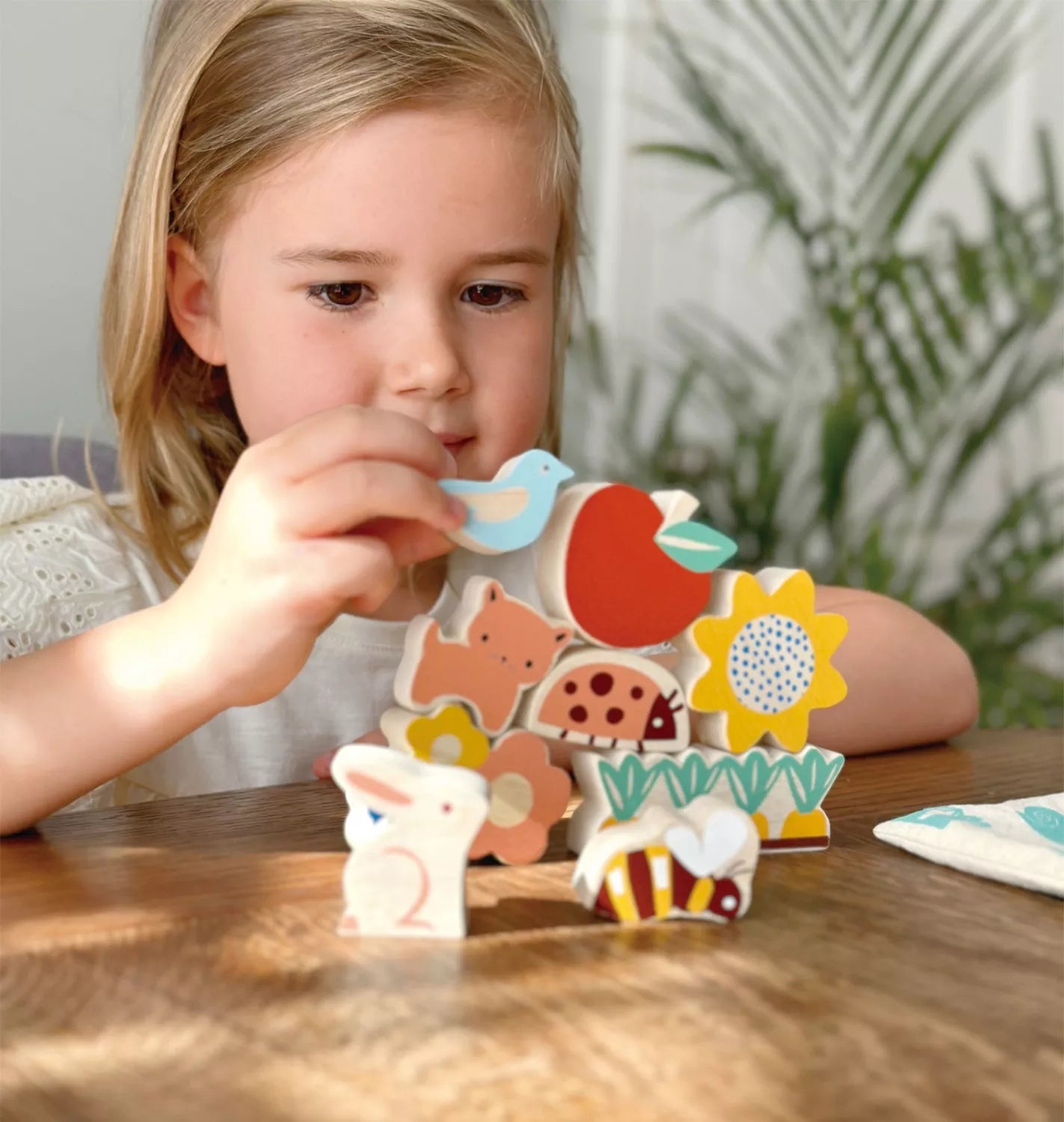 Mentari Statymo-pusiausvyros žaidimas, Sodas