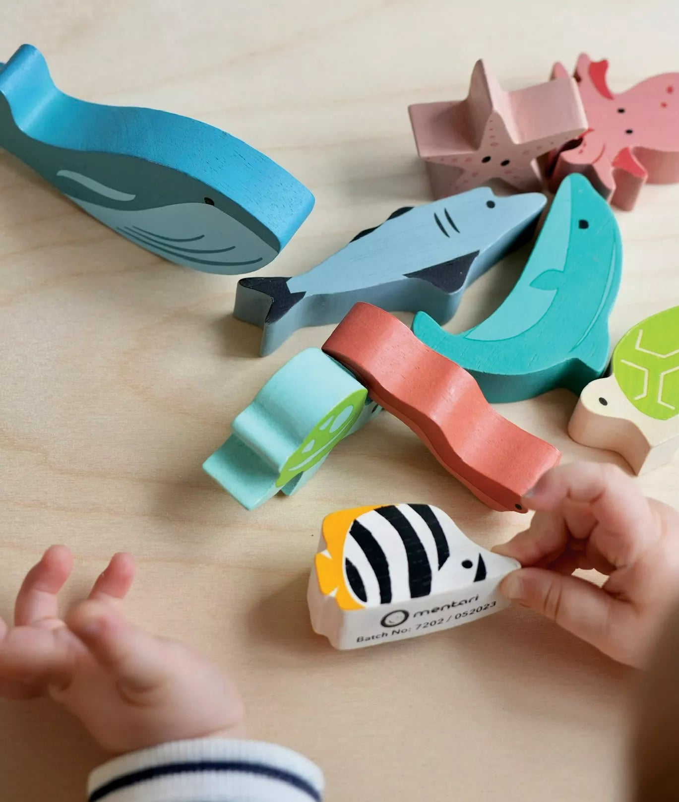 Mentari Statymo-pusiausvyros žaidimas, Vandenynas