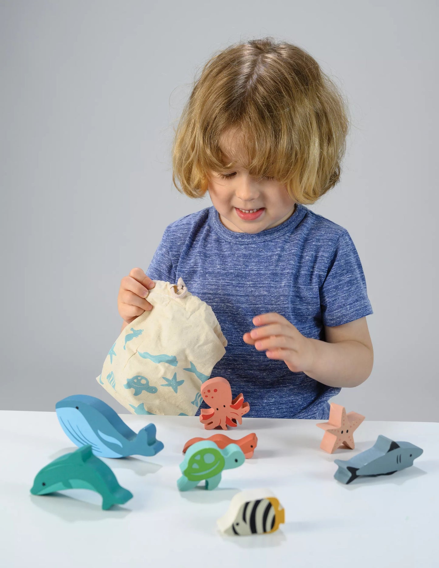 Mentari Statymo-pusiausvyros žaidimas, Vandenynas