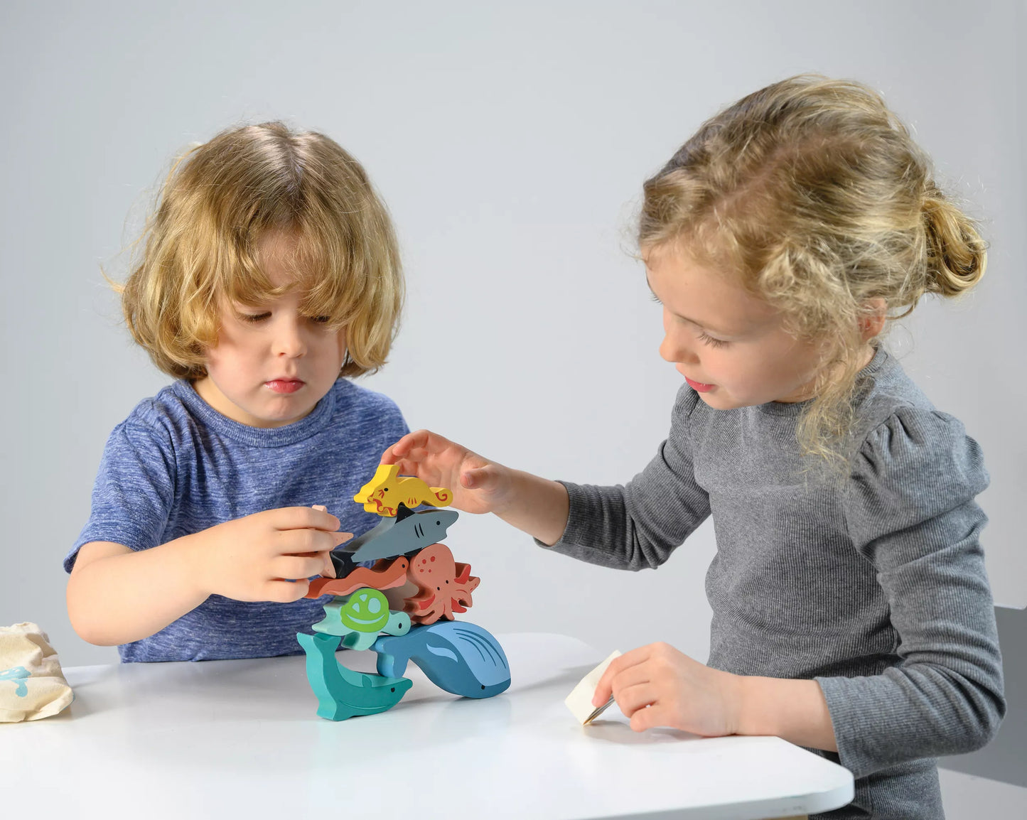 Mentari Statymo-pusiausvyros žaidimas, Vandenynas