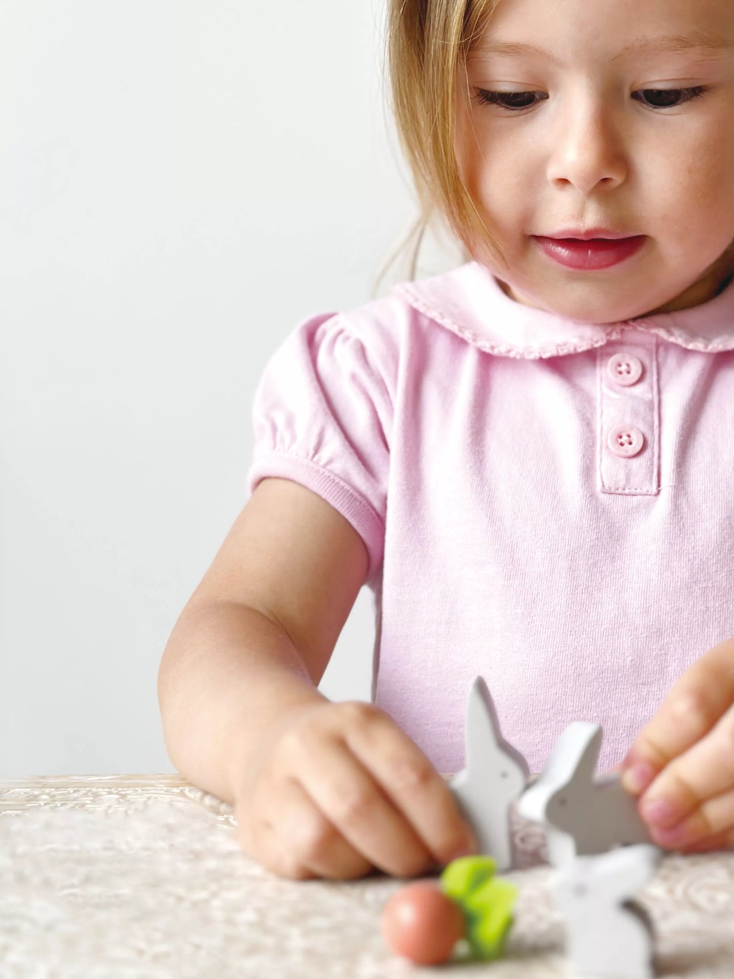 Mentari Triušiukų namelis