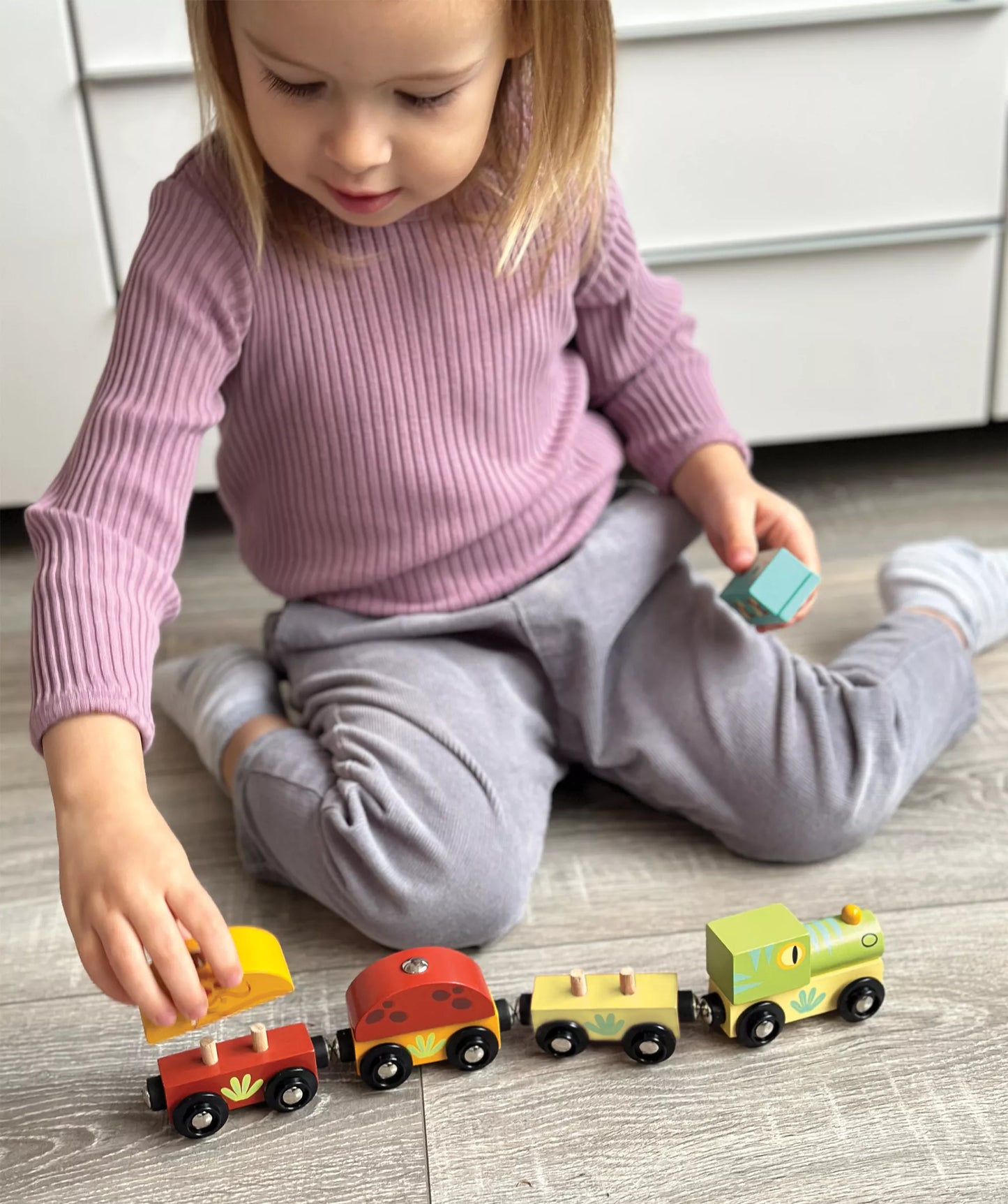 Mentari Traukinukas Dinozauras